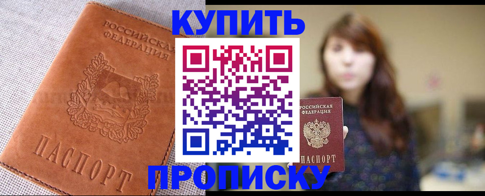 прописка поиск в Зее